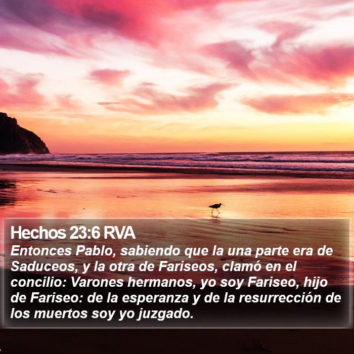 Hechos 23:6 RVA Bible Study