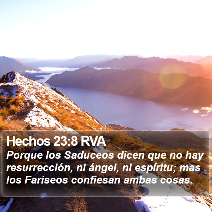 Hechos 23:8 RVA Bible Study