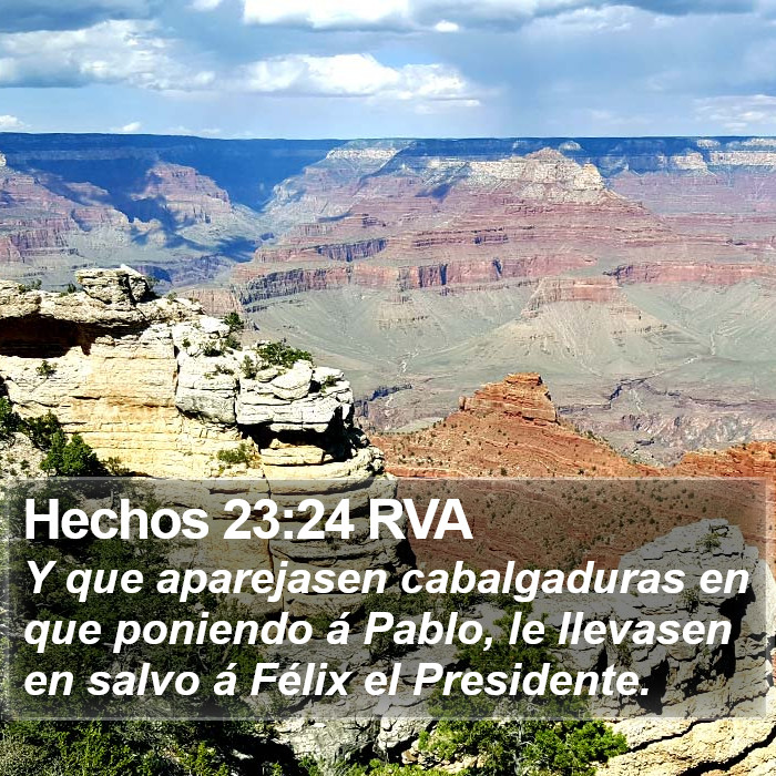 Hechos 23:24 RVA Bible Study