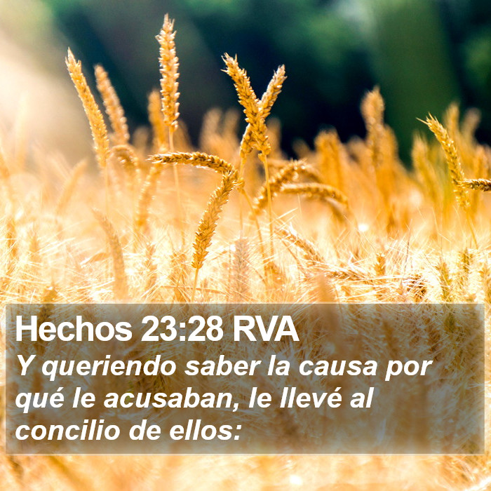 Hechos 23:28 RVA Bible Study