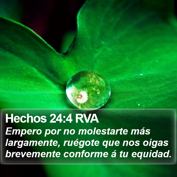 Hechos 24:4 RVA Bible Study