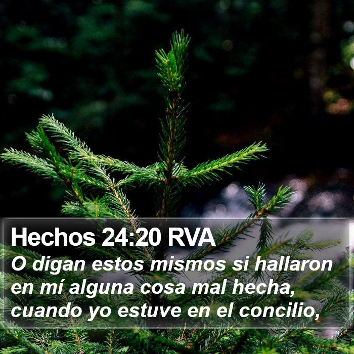 Hechos 24:20 RVA Bible Study