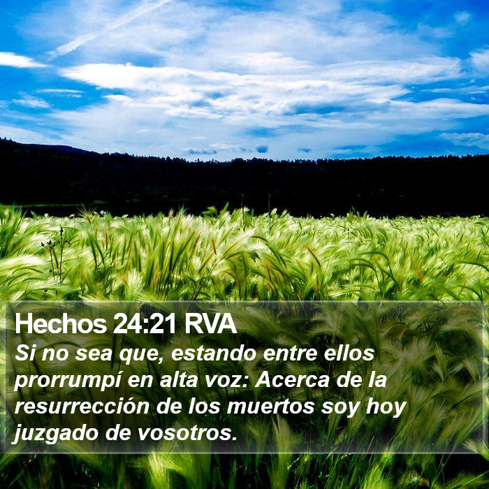 Hechos 24:21 RVA Bible Study