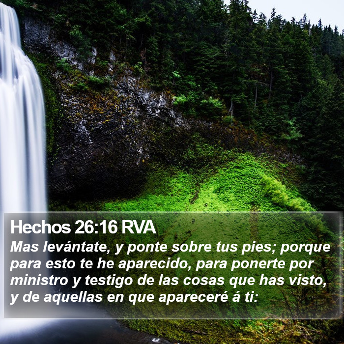 Hechos 26:16 RVA Bible Study