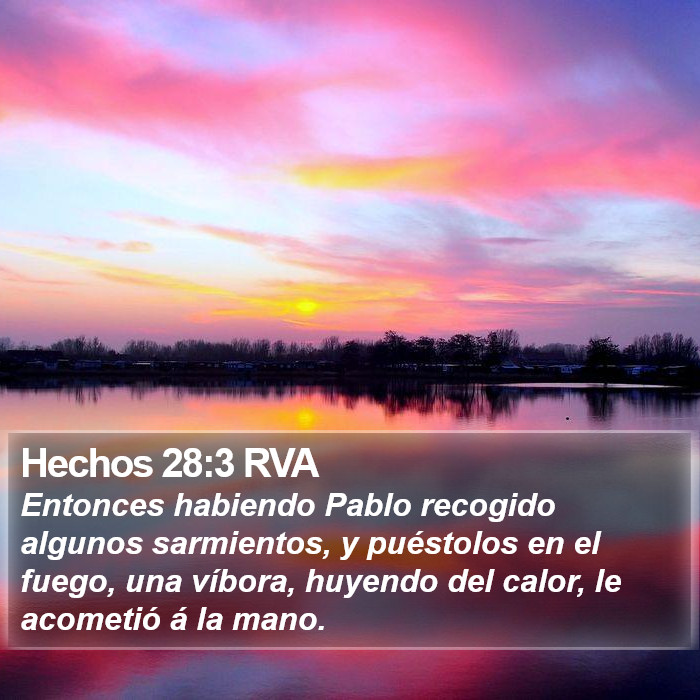 Hechos 28:3 RVA Bible Study