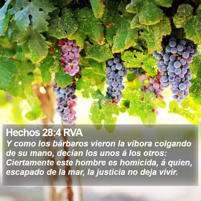 Hechos 28:4 RVA Bible Study