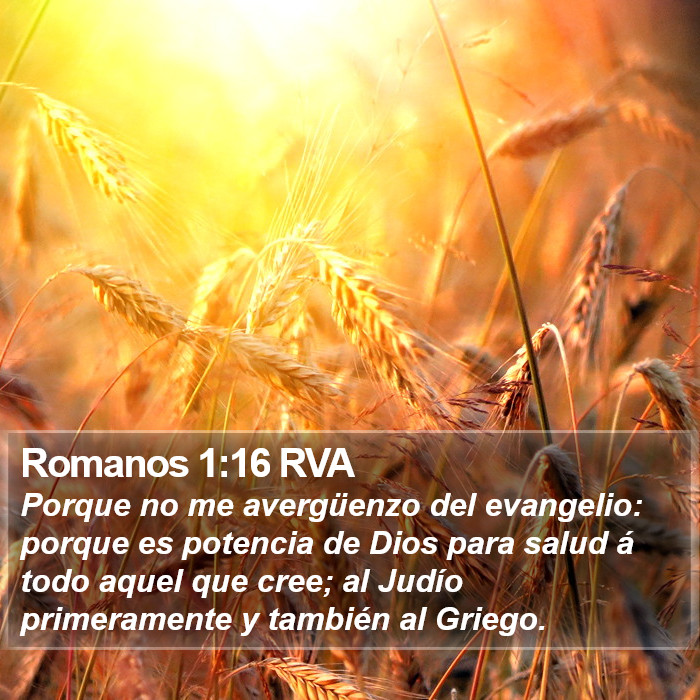 Romanos 1:16 RVA Bible Study