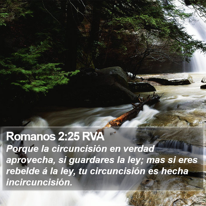 Romanos 2:25 RVA Bible Study