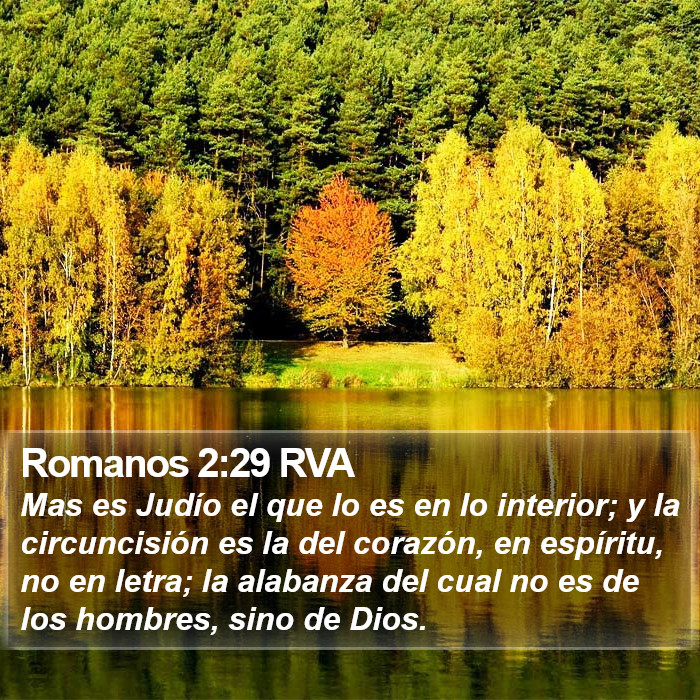 Romanos 2:29 RVA Bible Study