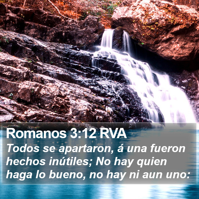 Romanos 3:12 RVA Bible Study