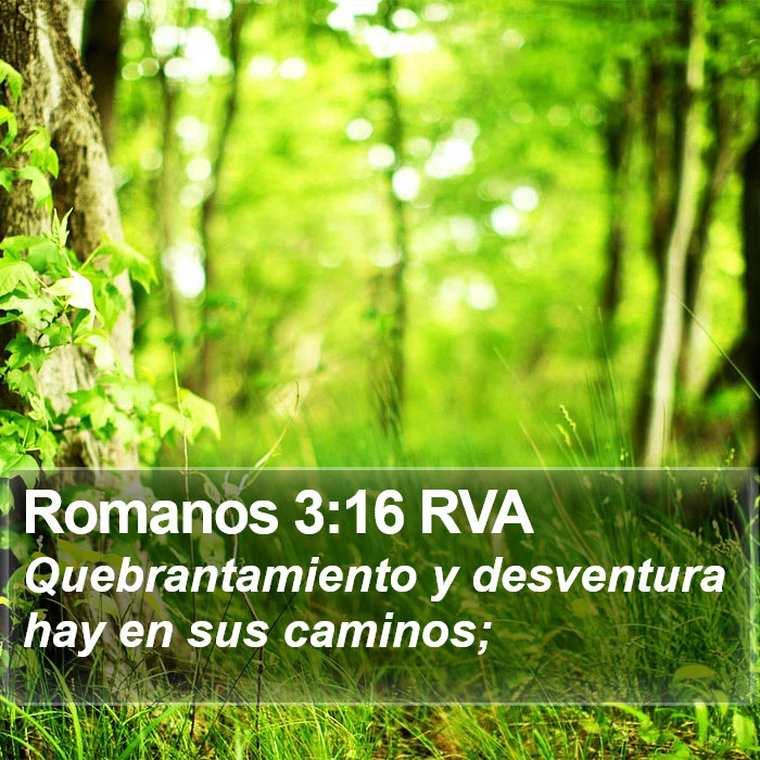 Romanos 3:16 RVA Bible Study