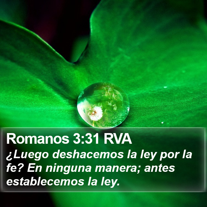 Romanos 3:31 RVA Bible Study