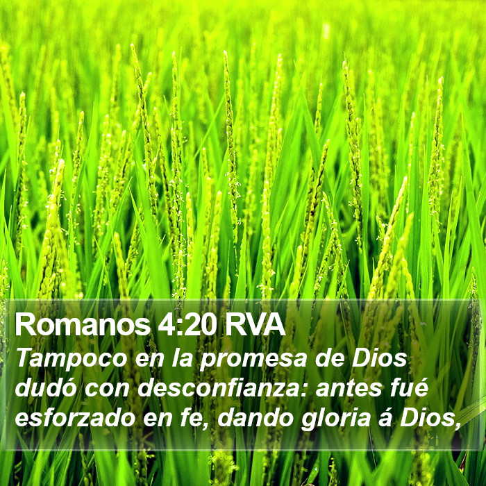 Romanos 4:20 RVA Bible Study