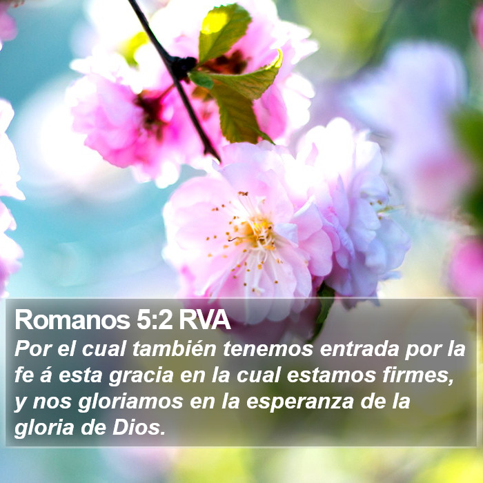 Romanos 5:2 RVA Bible Study