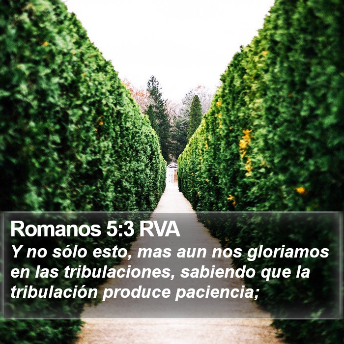 Romanos 5:3 RVA Bible Study