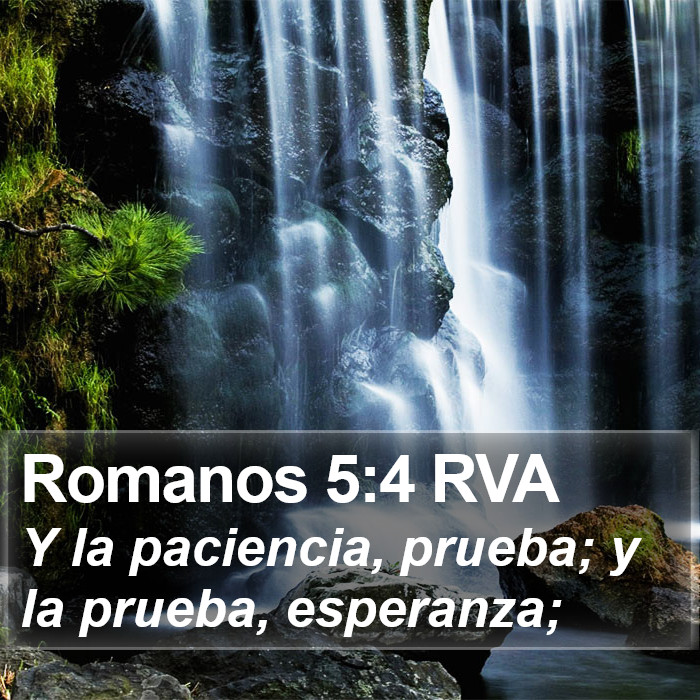 Romanos 5:4 RVA Bible Study