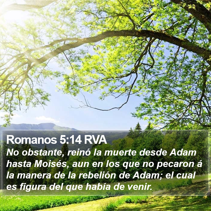 Romanos 5:14 RVA Bible Study