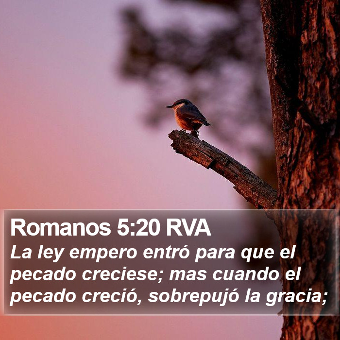 Romanos 5:20 RVA Bible Study