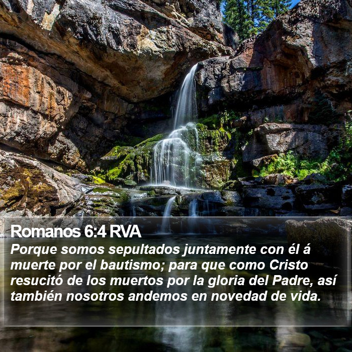 Romanos 6:4 RVA Bible Study