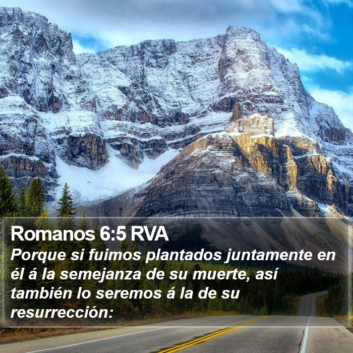 Romanos 6:5 RVA Bible Study