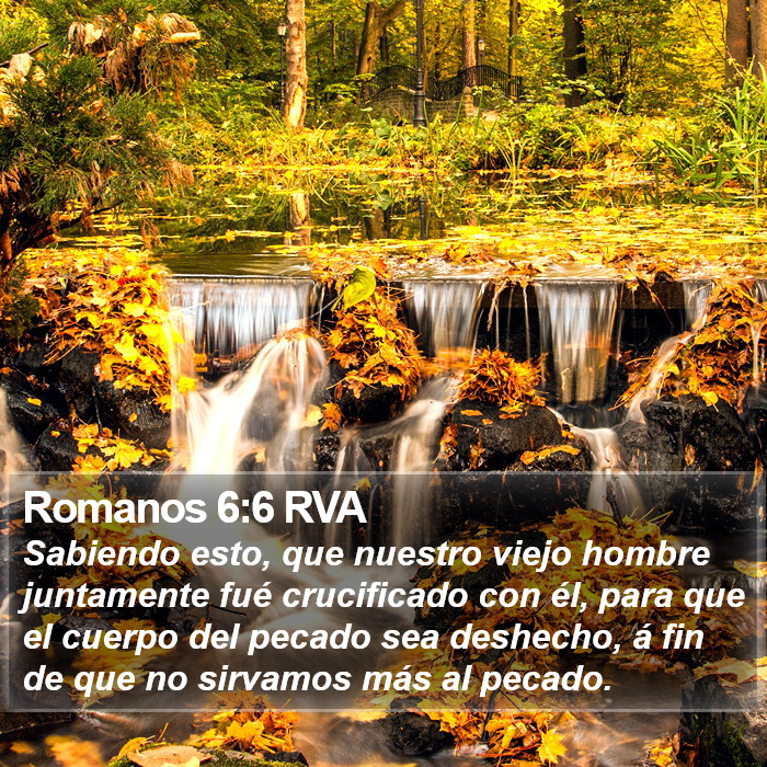 Romanos 6:6 RVA Bible Study