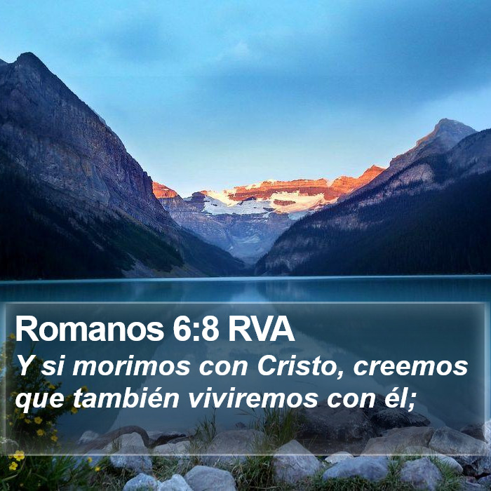 Romanos 6:8 RVA Bible Study