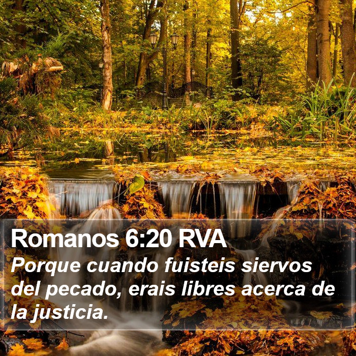 Romanos 6:20 RVA Bible Study