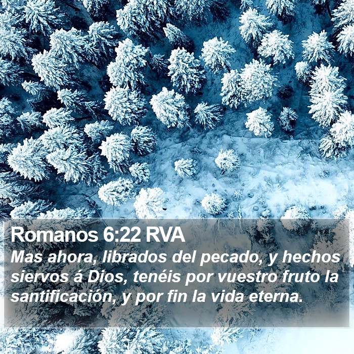 Romanos 6:22 RVA Bible Study