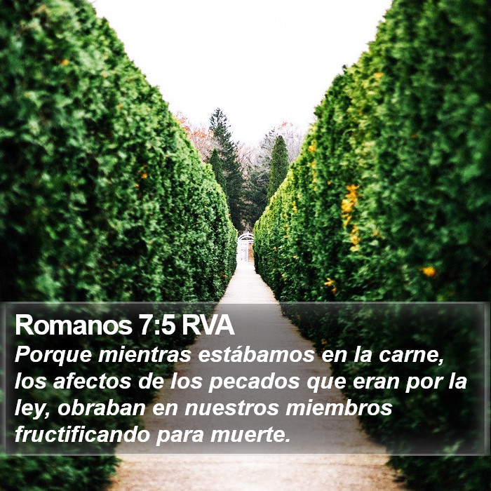 Romanos 7:5 RVA Bible Study