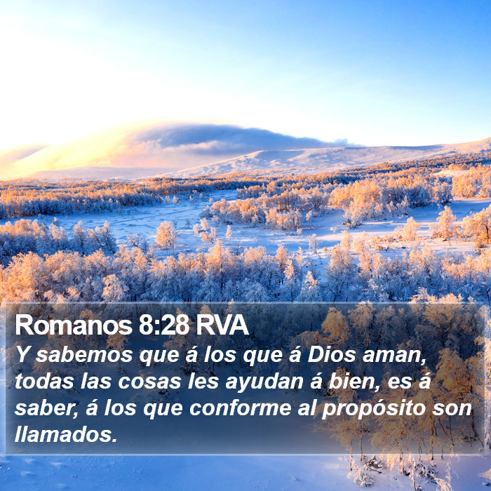 Romanos 8:28 RVA Bible Study