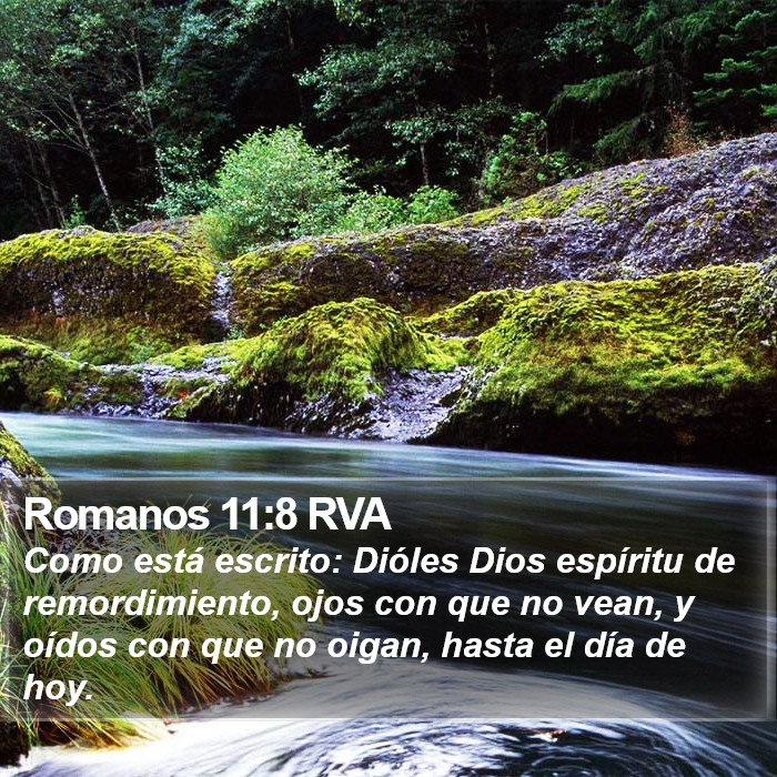 Romanos 11:8 RVA Bible Study