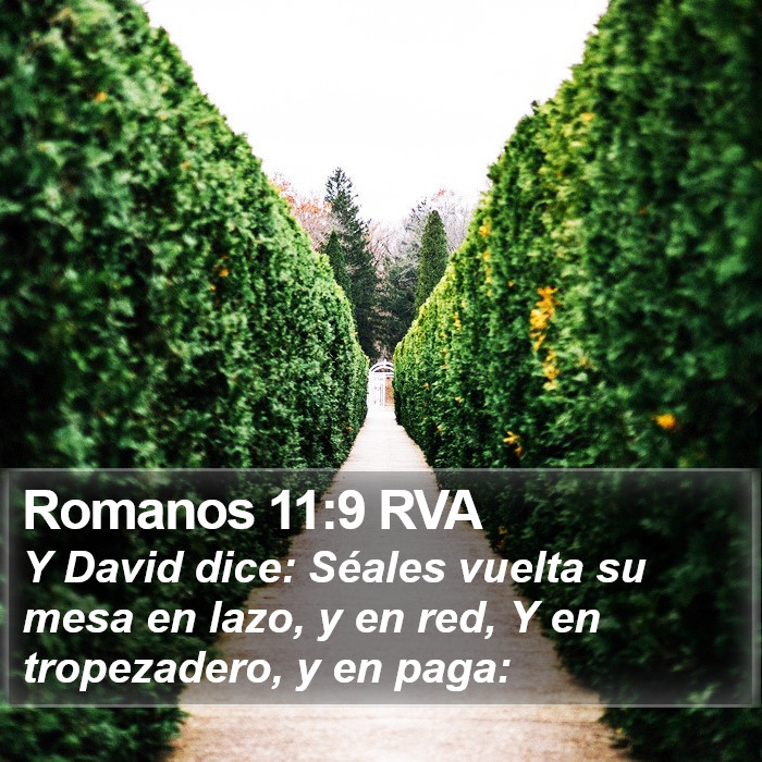 Romanos 11:9 RVA Bible Study