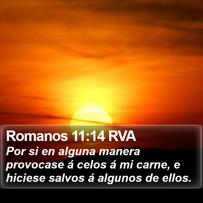 Romanos 11:14 RVA Bible Study