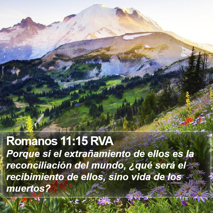 Romanos 11:15 RVA Bible Study