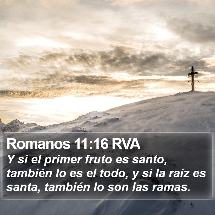 Romanos 11:16 RVA Bible Study