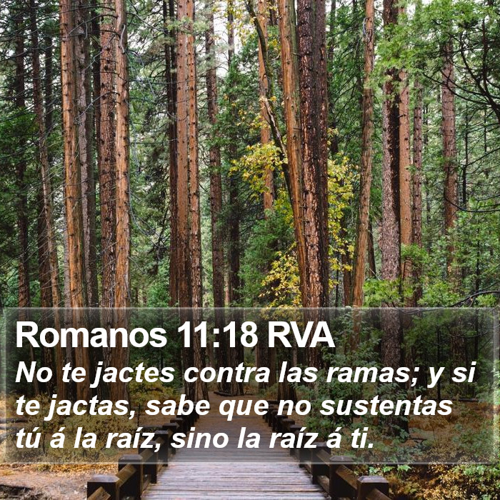 Romanos 11:18 RVA Bible Study