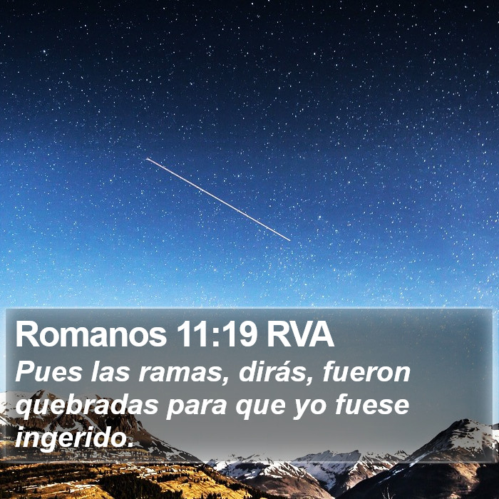 Romanos 11:19 RVA Bible Study