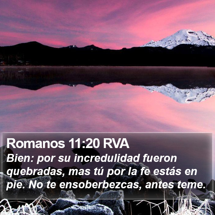 Romanos 11:20 RVA Bible Study