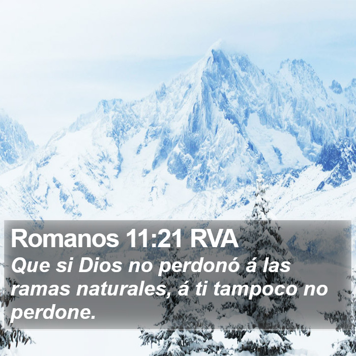 Romanos 11:21 RVA Bible Study