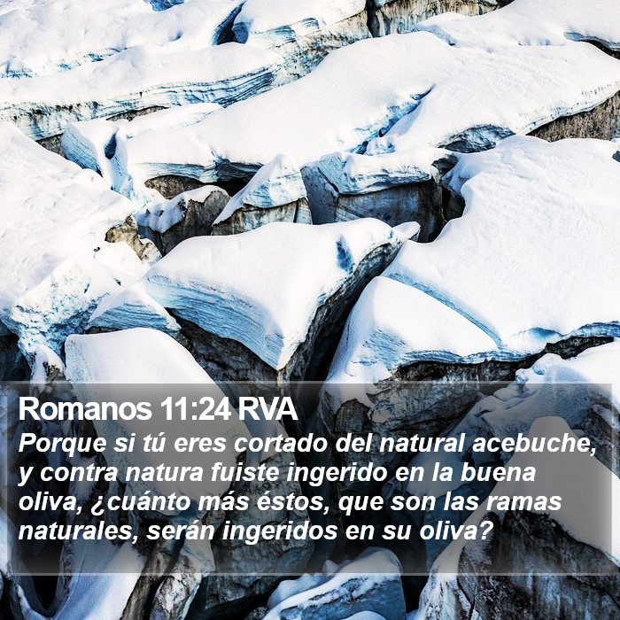 Romanos 11:24 RVA Bible Study