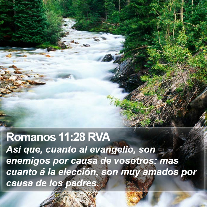 Romanos 11:28 RVA Bible Study