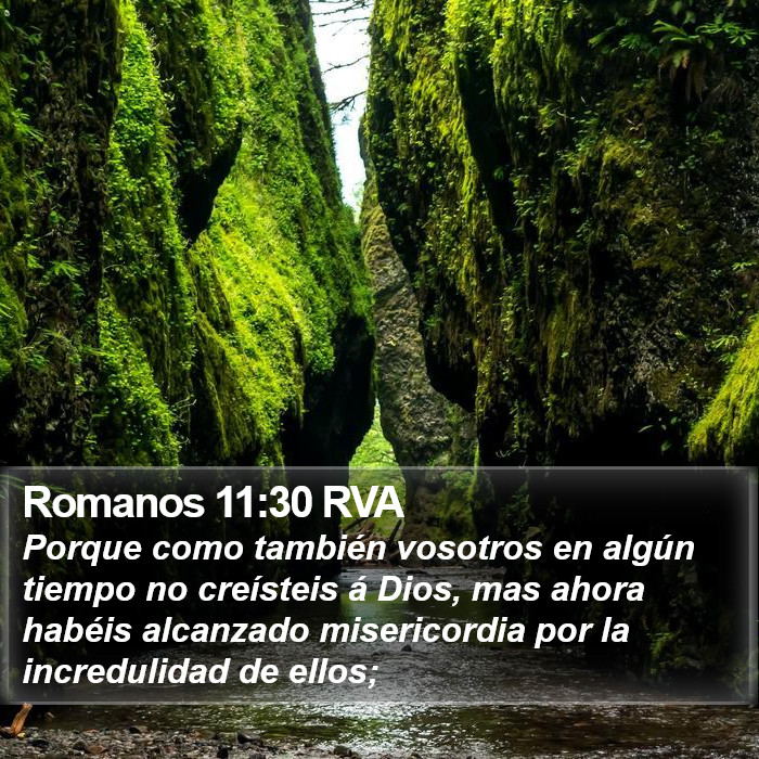 Romanos 11:30 RVA Bible Study