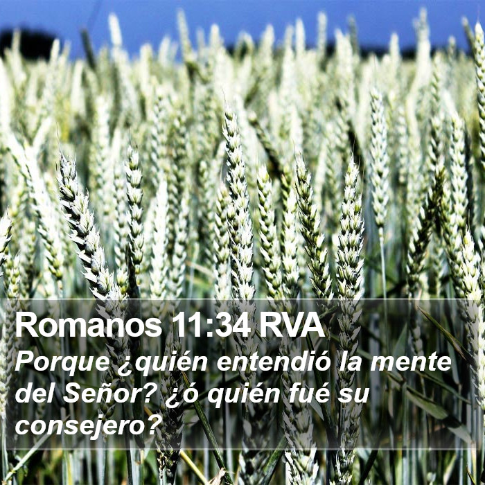 Romanos 11:34 RVA Bible Study