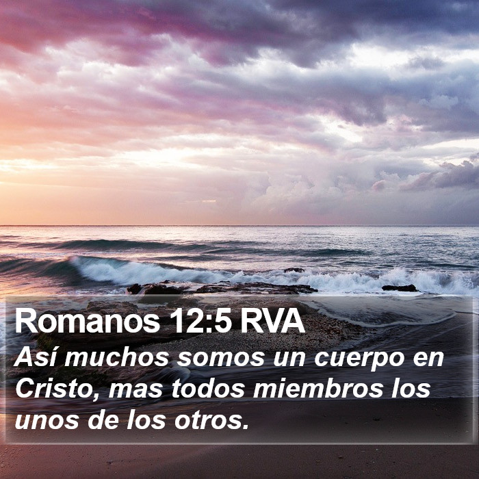 Romanos 12:5 RVA Bible Study