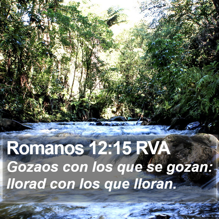 Romanos 12:15 RVA Bible Study