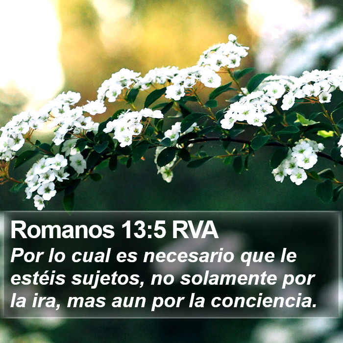 Romanos 13:5 RVA Bible Study