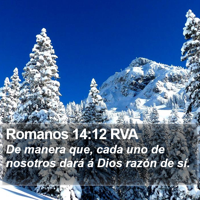 Romanos 14:12 RVA Bible Study