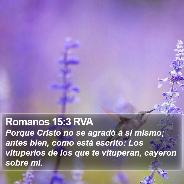 Romanos 15:3 RVA Bible Study