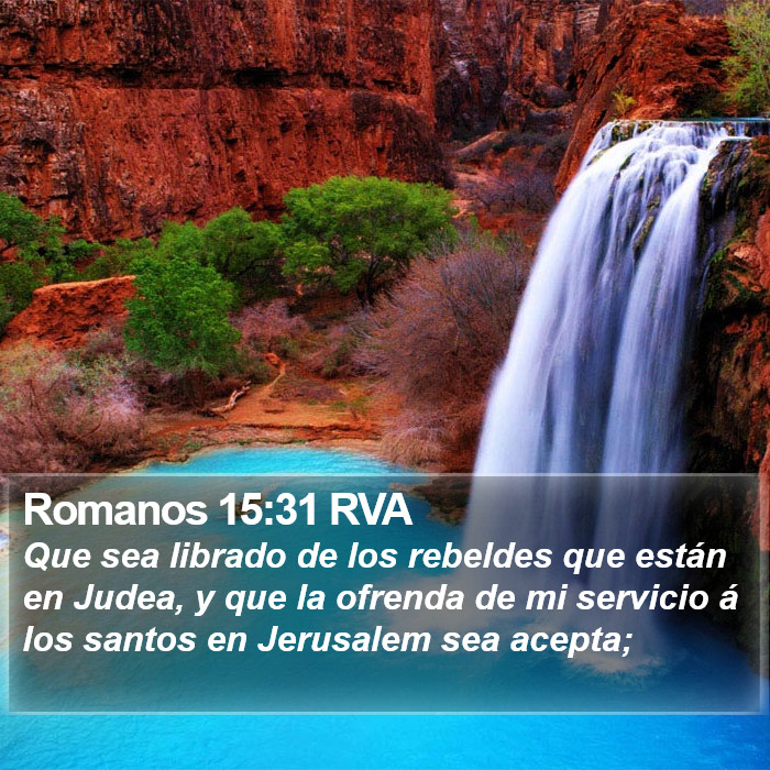 Romanos 15:31 RVA Bible Study