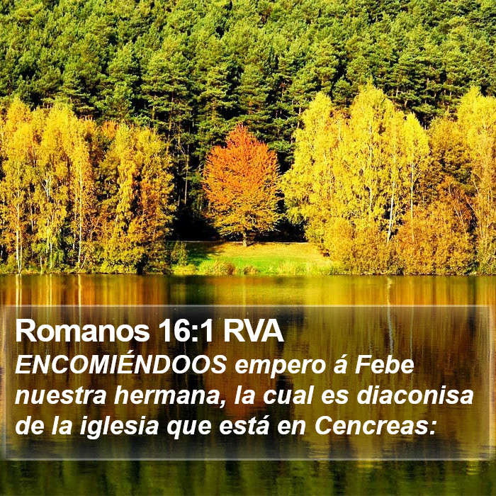 Romanos 16:1 RVA Bible Study